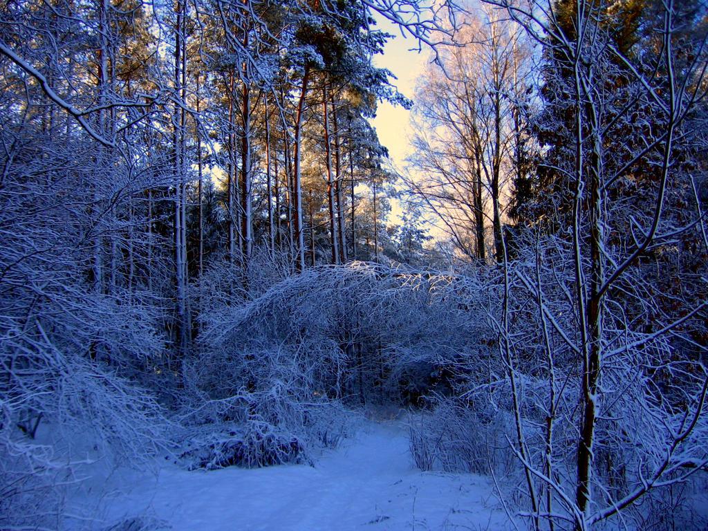 Agropensjonat Stręgielek Buitenkant foto
